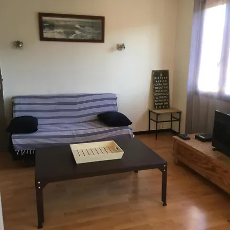 100m De La Mer Appartement Le Pradet